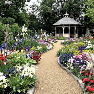 A cottage garden with long undulating gravel path leading to a grey and white timber gazebo. Dense floral planting including gladioli, lily, and carnation