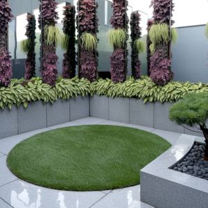 A small, enclosed, city garden. Polished grey granite floor and raised beds. Vertical strips of coleus and mistletoe cactus. A small, round lawn, and a single white pine bonsai in a large, polished granite trough