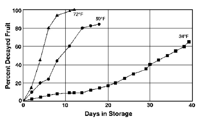 A chart showing the different decay rates for blueberries stored at different temperatures