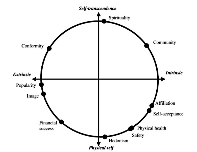 A circumplex map, contrasting measures of transcendent and physical goals