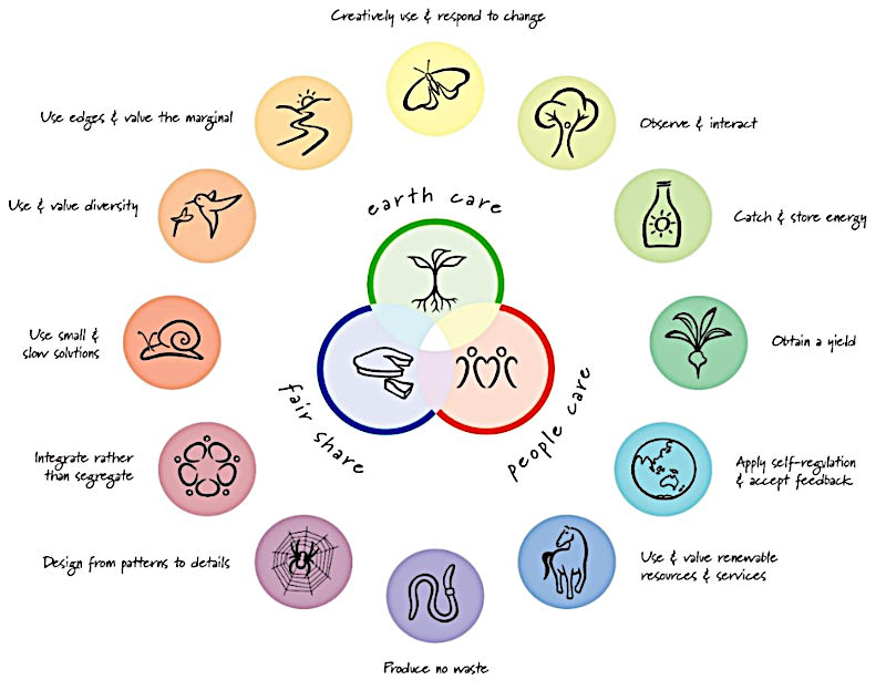 A graphic of the core values and principles of design as mapped out by the permaculture movement.