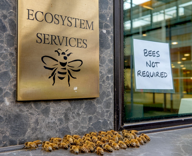 A group of bees gathered under a posh, brass sign saying ecosystem services. Next to it is a written poster saying bees not required