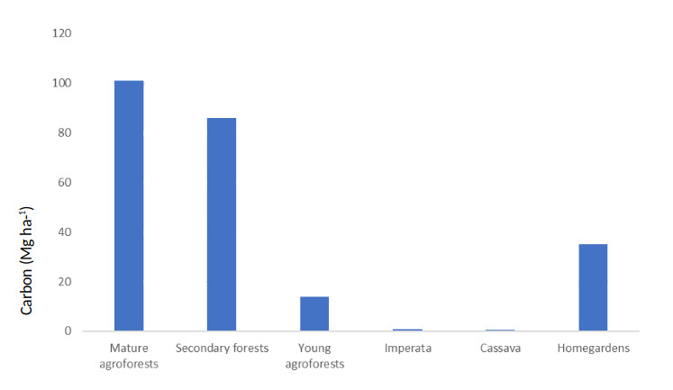 A chart comparing the carbon sequestration of various types of planting.