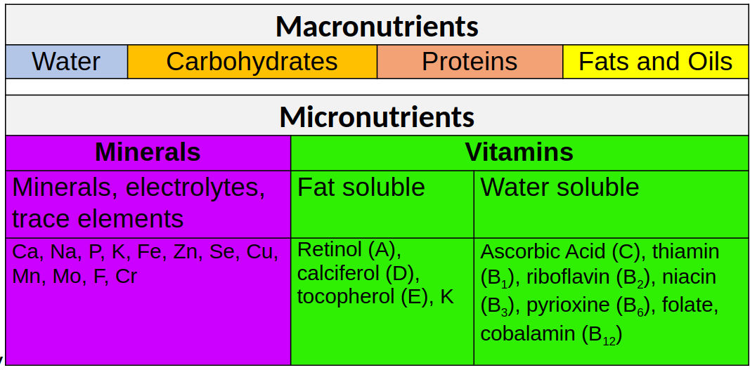 A chart showing some example micronutrients