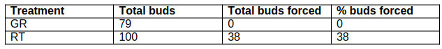 Results from a budwood forcing experiment