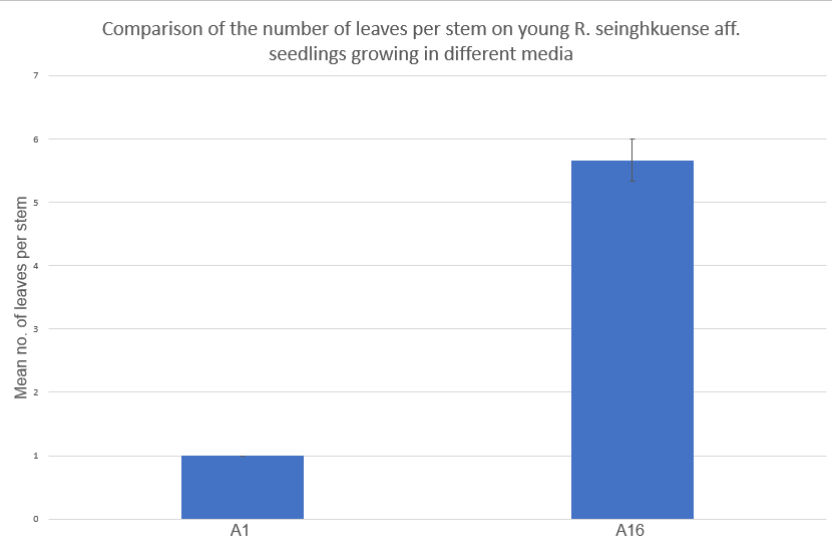 A bar chart comparing mean leaves per stem on Rhododendron growing in different media