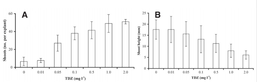 A bar chart showing the effect of thidiazuron on explant development at various concentrations
