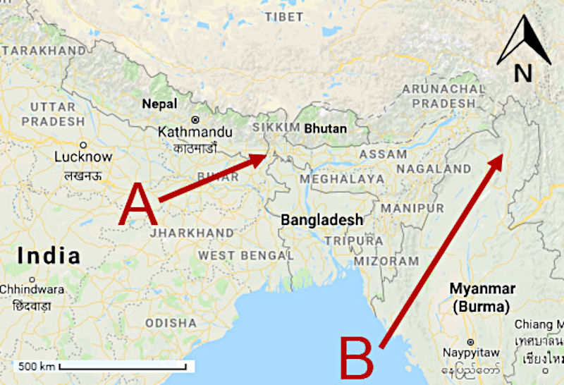 A map of India, Bangladesh, Tibet, and Myanmar and two arrows pointing to regions of origin for Rhododendron species listed below