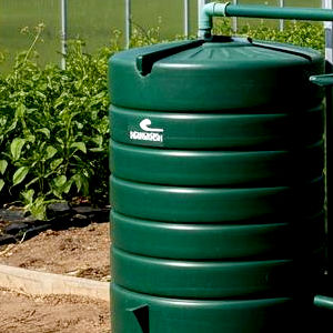 A water butt attached to drainage from a poly tunnel