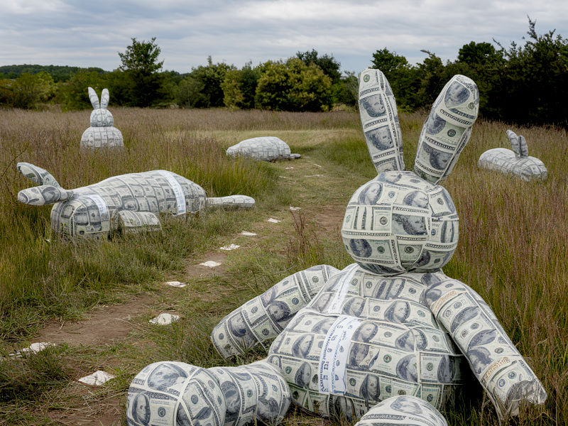 A wild meadow with a mown path. Strewn around are several large, stuffed rabbits sewn entirely from dollar bills.